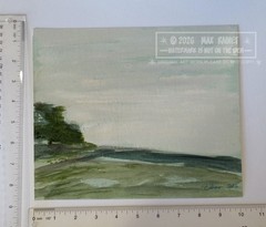 Tree by the Sea Ventura 2023 C Peterson * Orig OIL Painting * Landscape Seascape