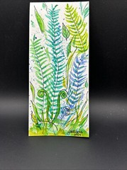 Original OOAK Watercolor Ferns Small 3×7 South Dakota Artist