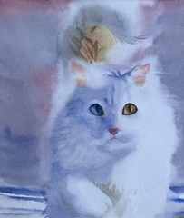 Original watercolor Cat Turkish Van White Angora Made to order pet portrait art