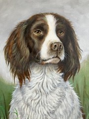 Vintage Oil Painting British Portrait of Faithful SPRINGER SPANIEL DOG Beautiful