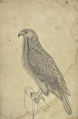 Falcon Bird Authentic Handmade Antique Painting Sketch On Vintage Stamp Paper