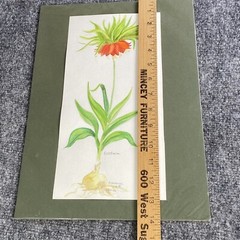 VTG Signed Botanical Watercolor Fritillaria Flower Study B Westbrook Dated 1998
