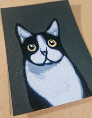 ACEO Tuxedo Cat Mini Painting Original Cat Artwork Signed Acrylic Kitten Art