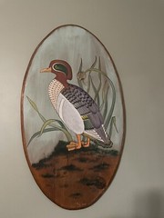 Water Painting of Mallard Duck on Wood Board 28” X 15” Signed Deborah Kerr