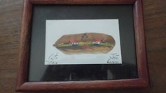 Vintage Painting on a Feather Costa Rica Jose Garro Framed Art