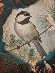 Chickadee mixed media on canvas 4×4 The Expressive Palette Diane R?