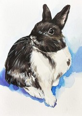 HAND-PAINTED CUSTOM PET PORTRAIT, cat portrait, dog portrait, gift for pet lover