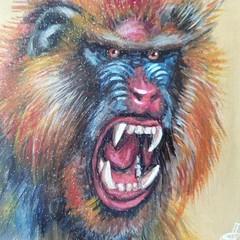 Original Acrylic Painting Colorful Mandrill Monkey Portrait Small Hand Painted