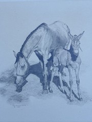 HORSE FAMILY DRAWING HORSES REALISTIC REALISM SHERI GREVES LISTED VINTAGE FAMOUS