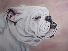 Hand Painted Custom Pet Portrait