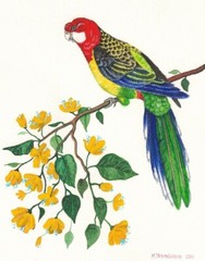 11×14 PRINT OF PAINTING RYTA PARROT TROPICAL BIRD BEACH EXOTIC vacation folk art