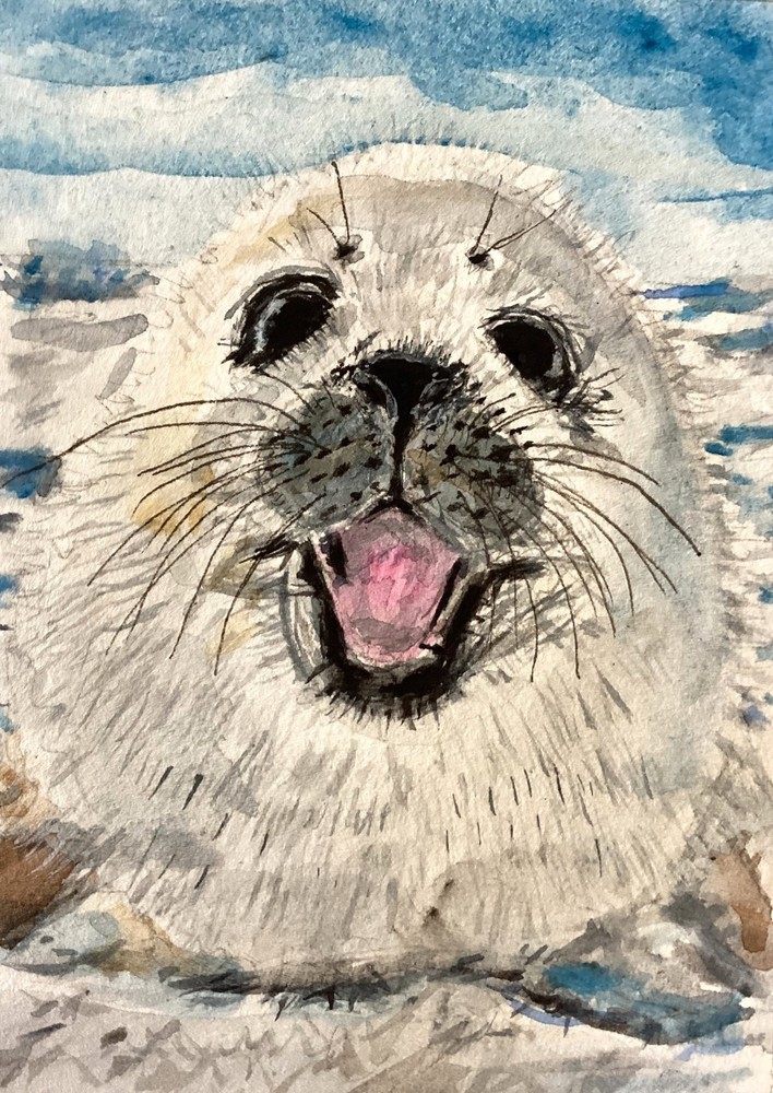 Seal wildlife painting double ACEO 3.5 by 5 inches