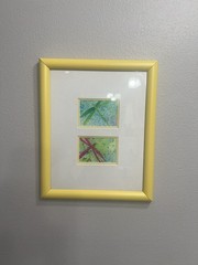 Original Watercolor Artwork by Sara Vanderkleed Dragonflies