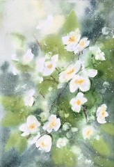 Original brand new watercolor „Jasmine” $55 Home decor art gift