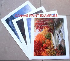 Blonde girl portrait Oil painting Giclee Art Printed on canvas L1101