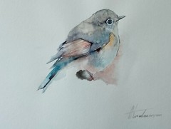 Fairy Wren, Birds, Watercolor artwork, Handmade, Original painting on paper