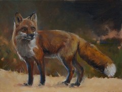 Original Wildlife Oil painting of a Red Fox , Animal, signed art Marla Epstein