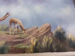Original Oil Painting Signed & Dated Mountain Top & Lamas Not Mounted