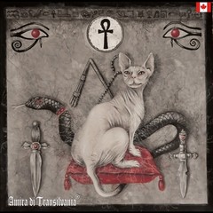 painting contemporary art modern esoteric egyptian symbol sphynx cat animal aceo