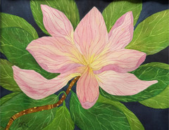 PAINTING WATERCOLOR ORIGINAL ART MAGNOLIA FLOWER PINK YELLOW 11X14 AND MAT 16X20