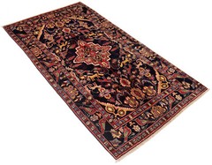 Hand Knotted Rug Bakhtiar 295 x 160 cm