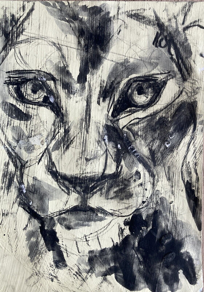 Ink Drawing IImpressionism Bogna IDKOWIAK Tiger Cat