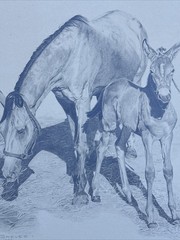 HORSE FAMILY DRAWING HORSES REALISTIC REALISM SHERI GREVES LISTED VINTAGE FAMOUS
