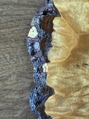 1990 Oil Painted Squirrel On Live Edge Birds Eye Maple Wood Plaque 25×16 Signed