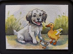 ACEO Original Watercolor „Little Companions“. Dog/Ducks Art Card. OOAK. Signed