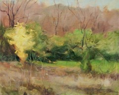 CREEK WATERFALL Impressionist landscape Oklahoma oil painting Aycock