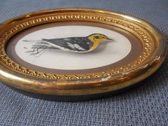 Orig. 1835 Watercolor Painting Signed M. Thompson Antique Miniature Framed Bird