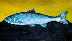 „Lasis“ (Salmon) Painting Acrylic on Linen 20x35cm | 8x14in