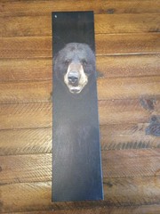 Realistic Bear Portrait Canvas , 21x5in, Unframed, Wall Art, Stretched canvas