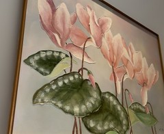 Large Oil Painting By R.Atkins Cyclamen Flowers Pastel Impasto RARE FIND Vntg