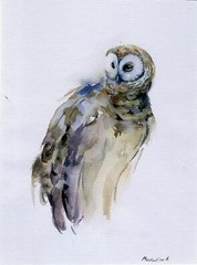 “Owl” Original Work Of Ukrainian Artist Watercolour