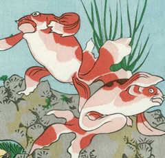 Ukiyo-e woodblock print Reprint Edition Utagawa Kuniyoshi 金魚づくし そさのおのみこと #483