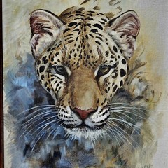 Clancy Cherry (1921-2009) Framed Big Cat Oil Painting “ Leopard“ Signed 26.5″