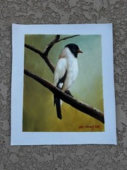 Black and White Bird Real Oil Painting On Canvas Green/Yellow Background 11”x9”