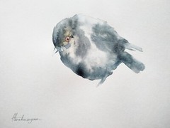 Dark Eyed Junco, Birds, Watercolor artwork, Handmade,Original painting on paper