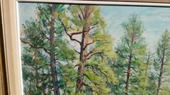 Margaret Munro Stratton McLennan (1911-1995) Pines Near Grand Canyon Acrylic