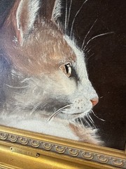 Two Real Oil On Canvas Paintings Art Signed Frames Feline Cat Kitty Wood Framed