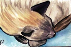 ACEO Siamese Cat napping3 mini art print from Original Watercolor painting