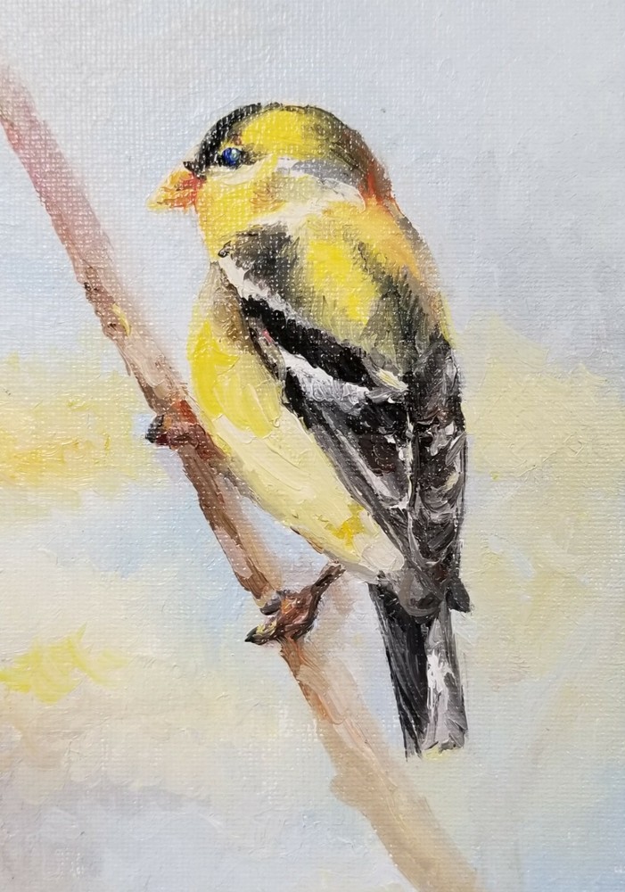 Goldfinch. Original oil painting Backyard bird art. 5×7. Canvas board.