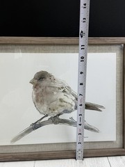 Hobby Lobby Framed Bird Print Watercolor Farmhouse Wall Art 11.5×14.75