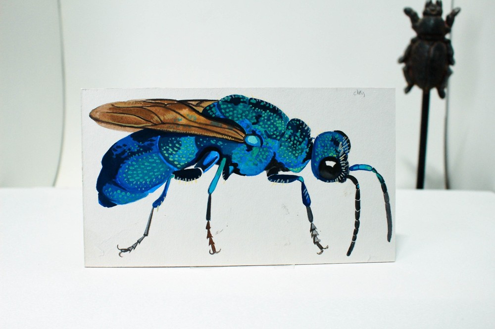 Original Watercolor – Blue Cuckoo Wasp (from Rainbow Bugs)