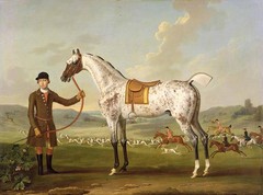 Art oil painting young man with Spotted horse and hounds dogs in field on canvas