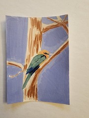 ACEO Original Acrylic Painting Small Colorful Bird on Branch by Kiva