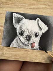 Chihuahua Painting