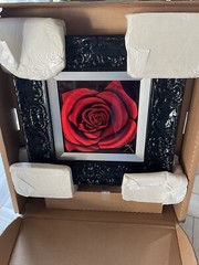 Crisx Painting On Metal “Mini Red Rose” Unique Work COA $2250.00 Appraisal