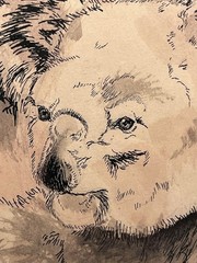 1974 Original Watercolor & Ink Australian Koala Bears Signed & Framed Painting